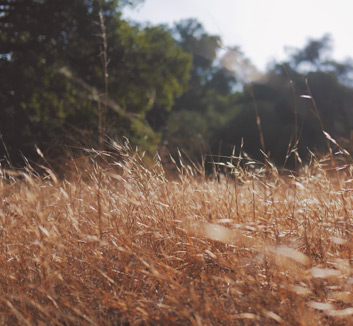 格拉纳达主场惨败，战绩堪忧